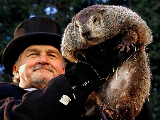 2 февраля в США и Канаде отмечают день сурка